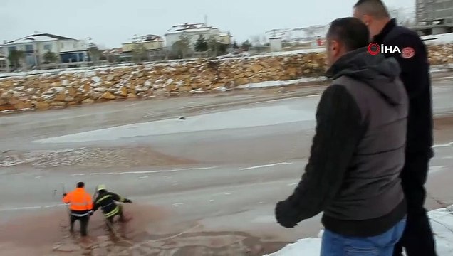 Ekipler Seferber Oldu, Donmak Üzere Olan Köpek Son Anda Kurtarıldı