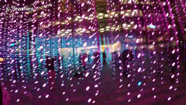 Stunning Winter Lights Festival illuminates Canary Wharf
