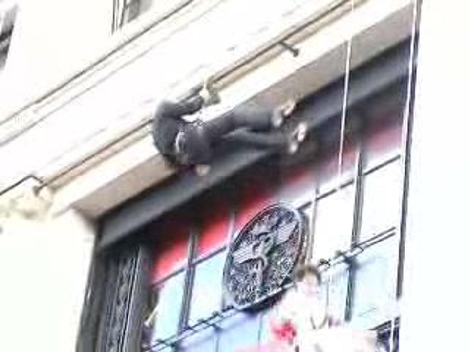 Virgin fly