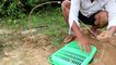 Awesome Very Easy Simple Bird Trap Make from plastic basket | Technology bird trap