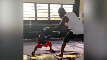 Un jeune boxeur très talentueux !