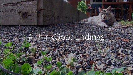 What To Do When Your King Becomes a Tyrant?