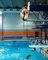 Diver Does Back Dive Tuck off Spring Diving Board