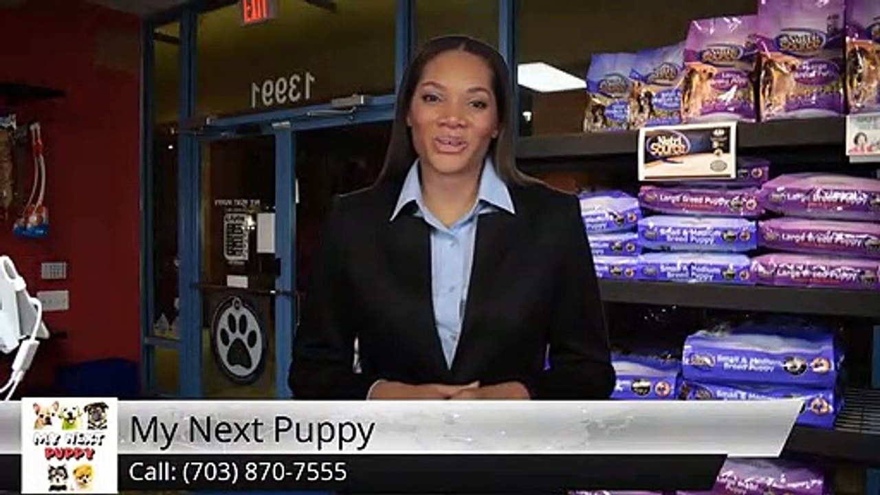dogs for sale