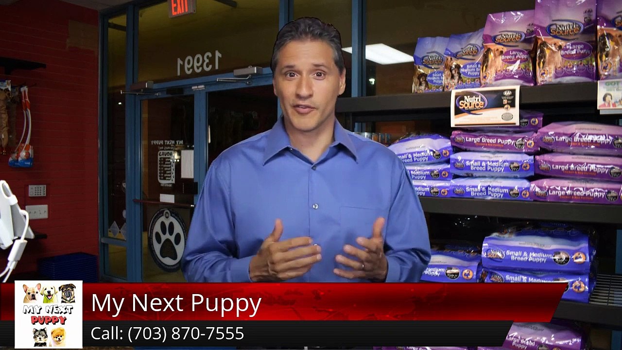 puppy store