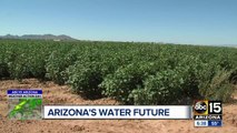 Arizona farmers watching closely as politicians work to finalize drought contingency plan