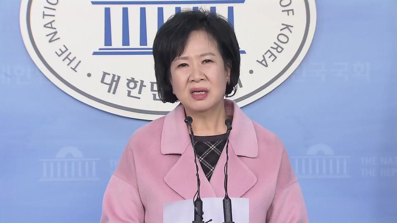 손혜원 부동산 투기 의혹...민주당 "당 차원 조사" / YTN