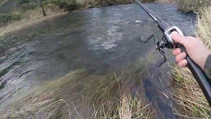 First Keeper Steelhead 2019