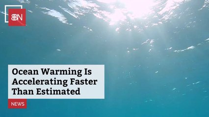 The Ocean Is Warming And That's Not Good
