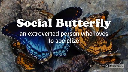 In this video We tried a new and easy way to learn Idioms.Which are the Impor