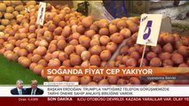 Soğanda fiyat cep yakıyor