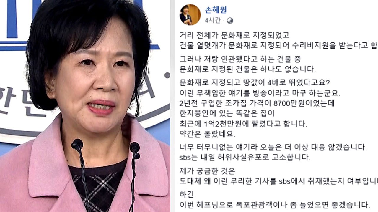 박지원 의원이 보는 '손혜원 의원 부동산 투기 의혹' / YTN