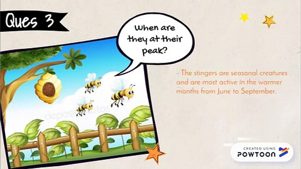 6 Buzzing Questions About Wasps