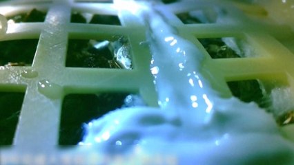 China claims to have grown first plants on moon as part of lunar mission