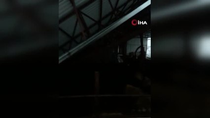 Çöken Ahırın İçindeki 50 Hayvan İş Makinesiyle Kurtarıldı