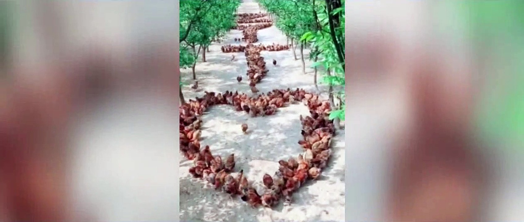 wow