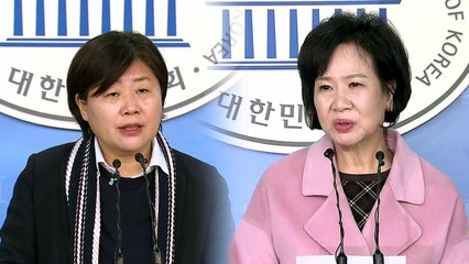 손혜원 서영교 '악재' VS 당권 놓고 '후끈' / YTN