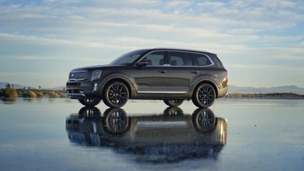 2020 Kia Telluride Interior Design