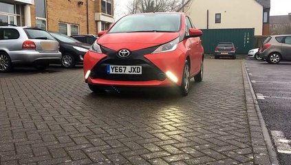 Molly The Tesco, Facebook Famous Cat!