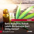 Begini Alasannya Sebungkus Rokok Lebih Bahaya Dari 200 Gram Ganja