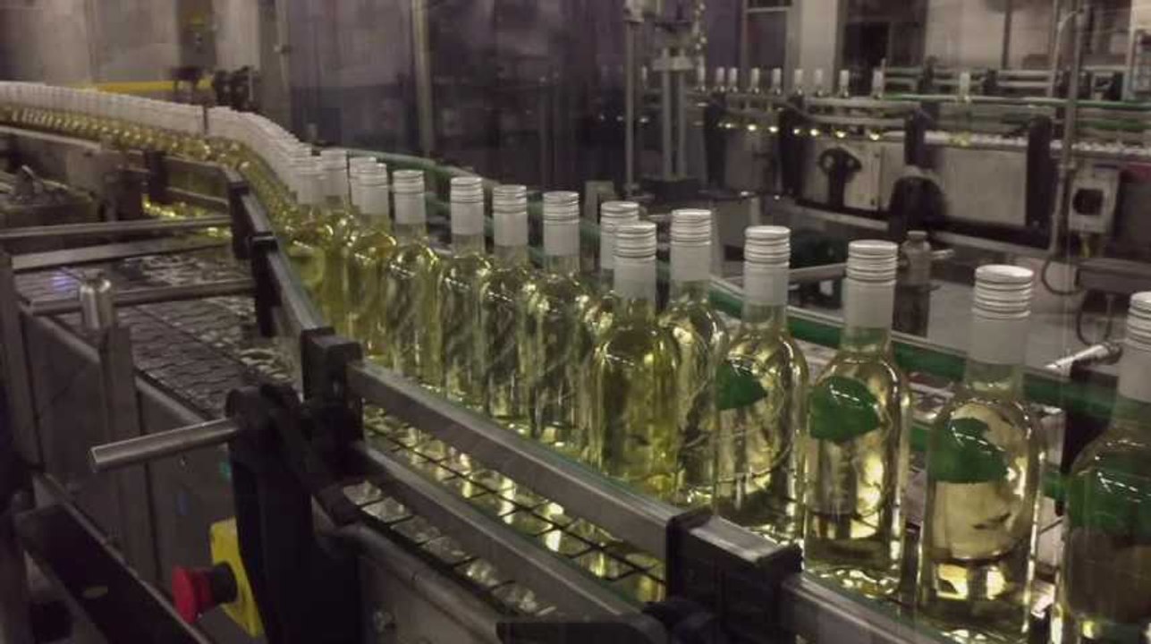 Visite de l'unité d'embouteillage des vins Delhaize