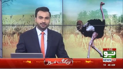 Ostrich meat shop inaugurated in Lahore 16January2019