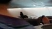 Un oiseau s'est introduit dans la cabine de la classe affaires d'un vol reliant Singapour à Londres et sème la pagaille
