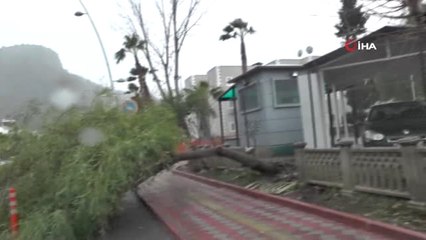 Kemer'de Fırtına Ağaçları Devirdi, Mezar Taşlarını Yerinden Söktü