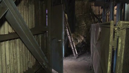 "일하다 다쳐도 내 책임"...또 다른 김용균 346만 명 / YTN