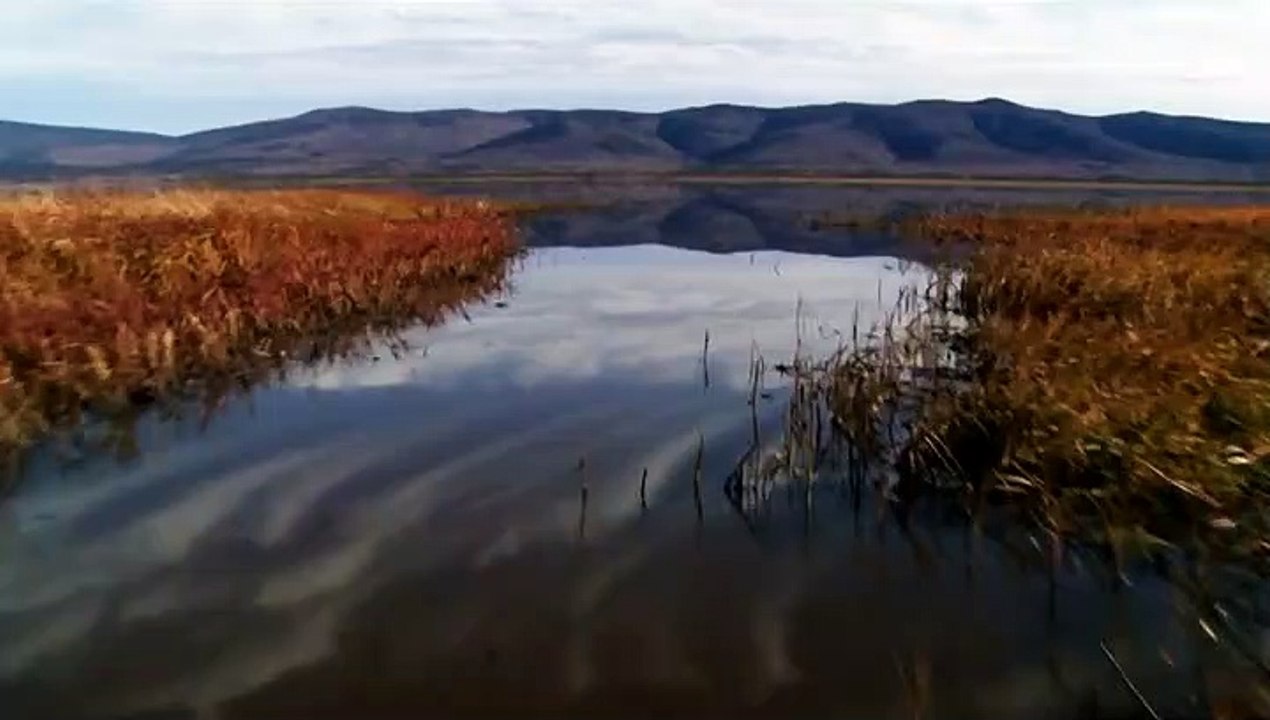 MeatEater.S01E09.The.Waters.Edge-Waterfowl.in.Alaska.HDTV.x264