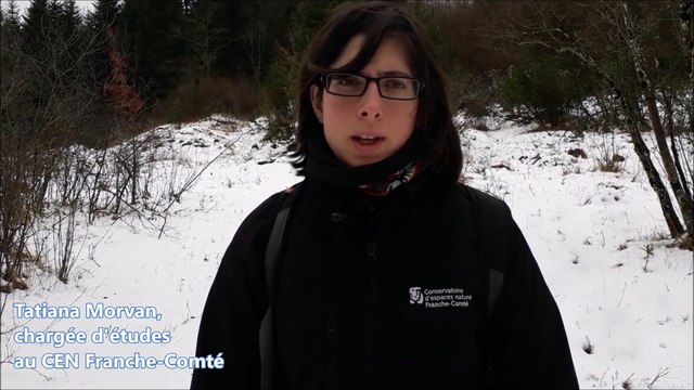 Andelot-en-Montagne : des espèces rares découvertes dans les pelouses du Montsevely