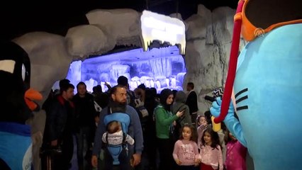 İstanbul Akvaryum 11 Gentoo Pengueni Evlat Edindi