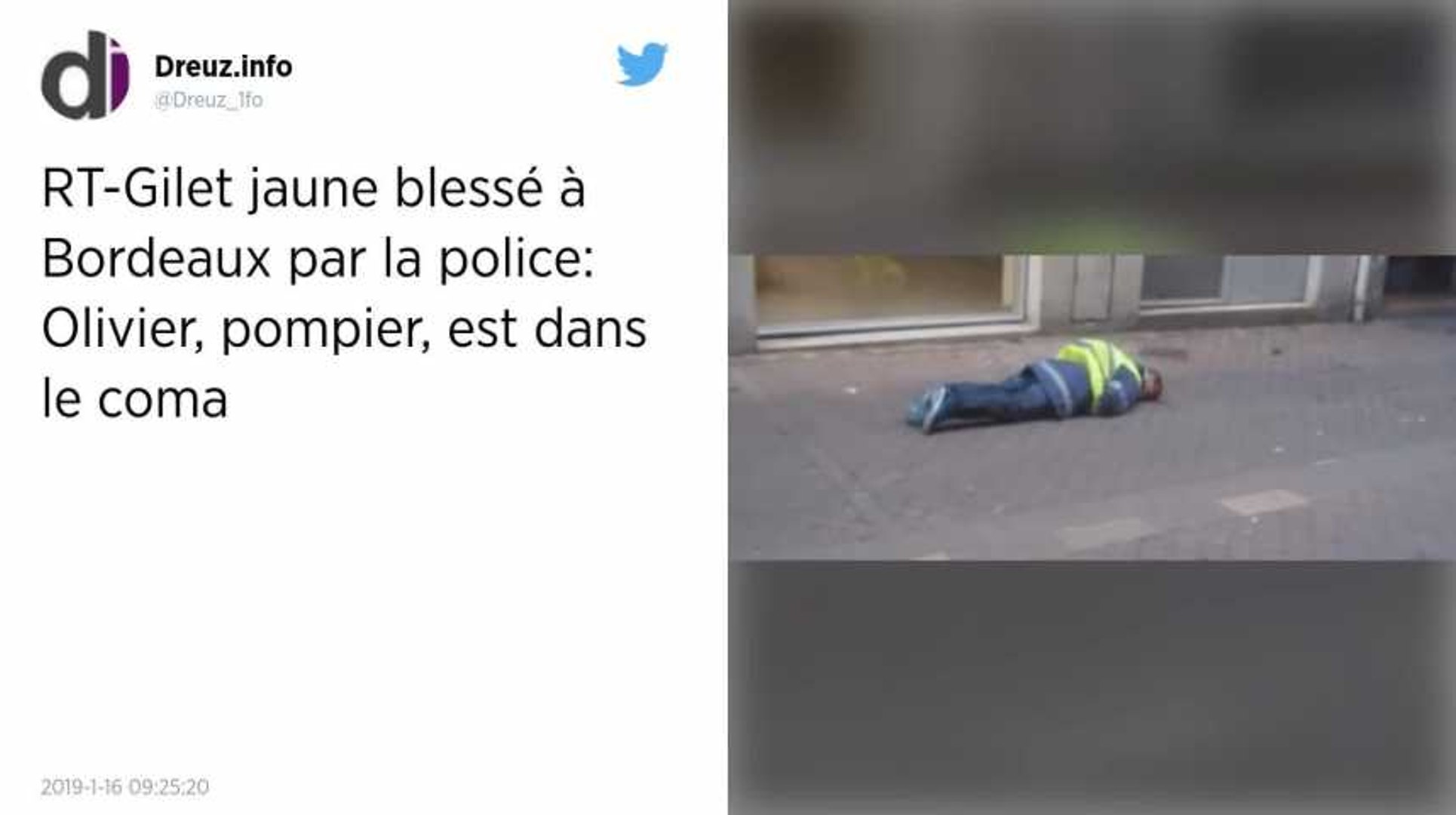Bordeaux Un Gilet Jaune Dans Le Coma Ligpn Saisie