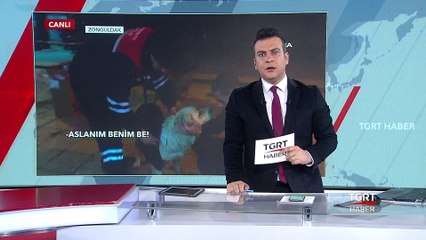 Çöpte Bulduğu Kazağı Köpeğe Giydirdi