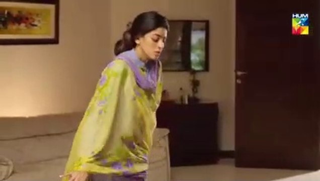 Aik Larki Aam Si Epi 147 HUM TV Drama 16 January 2019