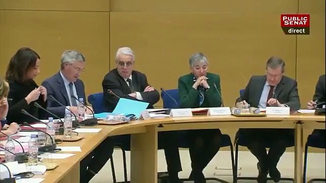 Alexandre Benalla a utilisé ses passeports une vingtaine de fois depuis son licenciement, selon Patrick Strzoda, directeur de cabinet de la présidence de la République