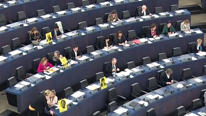 Eurodiputats mostren cartells dels presos polítics a Sánchez