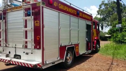 Corpo de Bombeiros é mobilizado para resgate de animal no Lago Azul