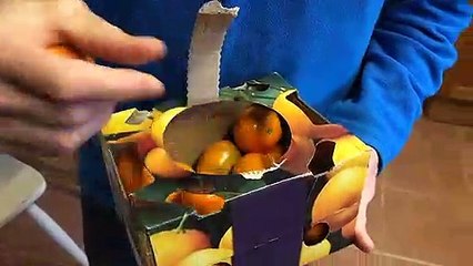 Reducing Birmingham's Plastic Footprint!