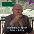 La chaise Wassily, histoire d’une icône du design