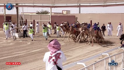 Camel Race!