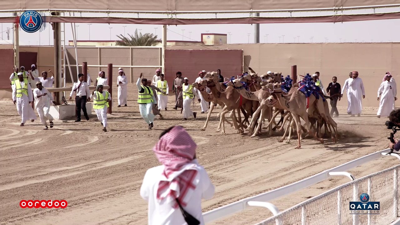 Camel Race!