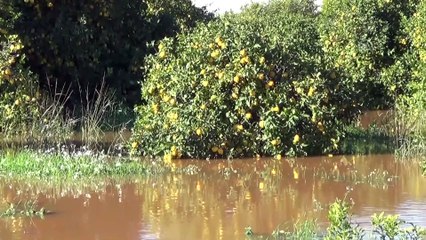 Mersin'deki yağış ve fırtına ilçeleri de etkiledi (2)