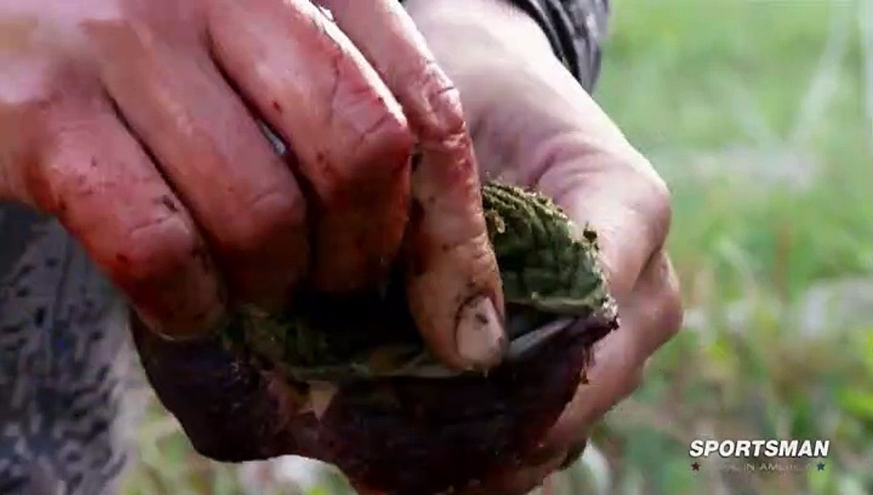 MeatEater.S02E01.Big.Sky.Bigger.Birds-Montana.Spring.Turkey.HDTV.x264