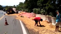 Caminhão carregado com soja tomba na rodovia BR-277
