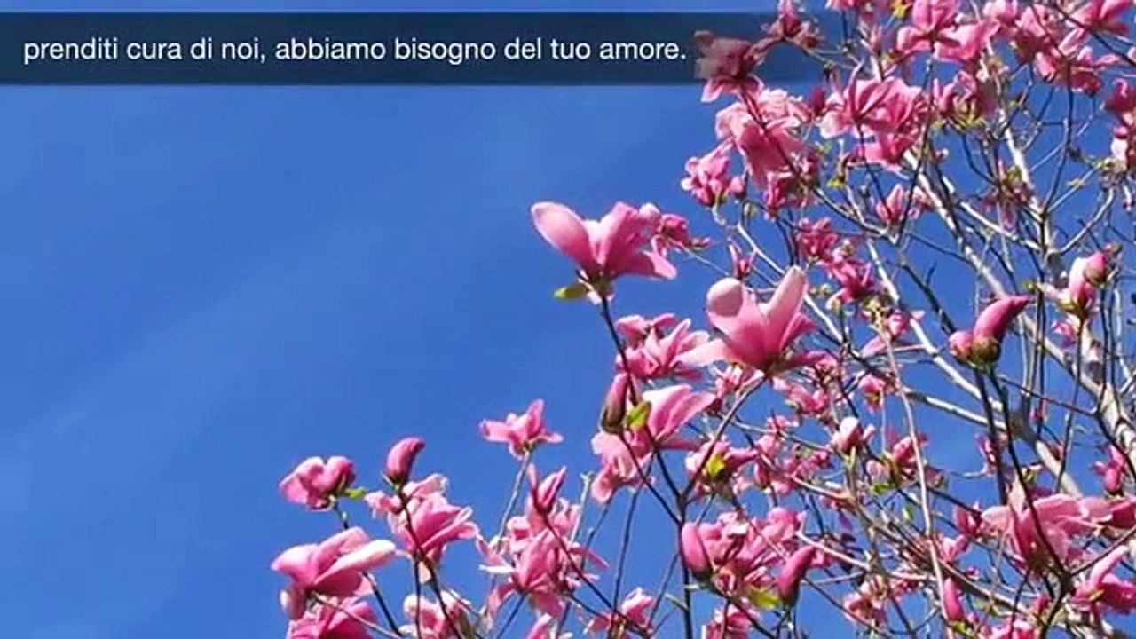 Chillout28