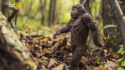 No, This Statue with Glowing Eyes Is Not Actually Bigfoot