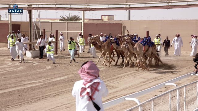 PSG - La course de dromadaires inédite des joueurs parisiens