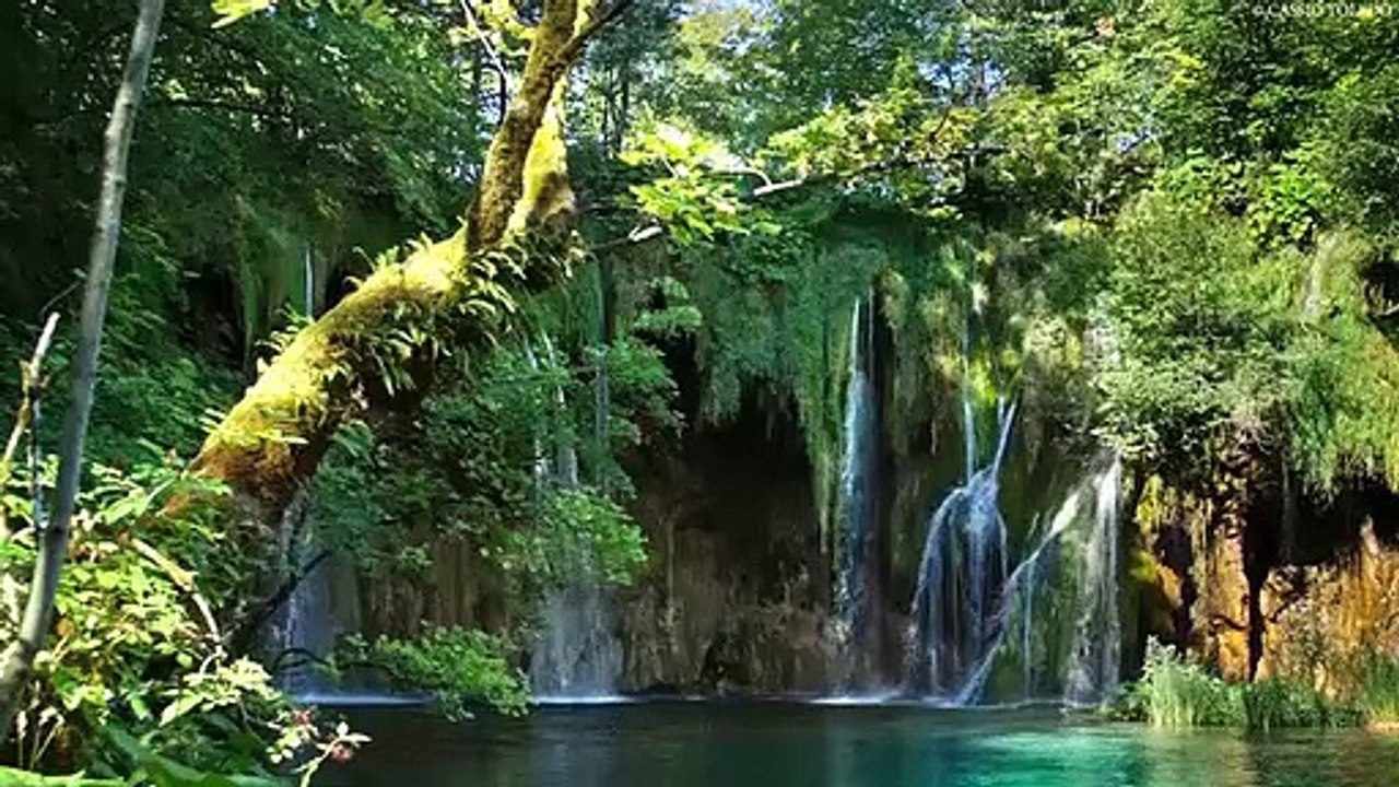Salmo, 1, Bienaventurado el..... Loc: M.Guadalupe Correa.