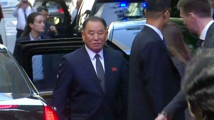 김영철, 北관료 첫 워싱턴 직항...트럼프에 김정은 친서 / YTN